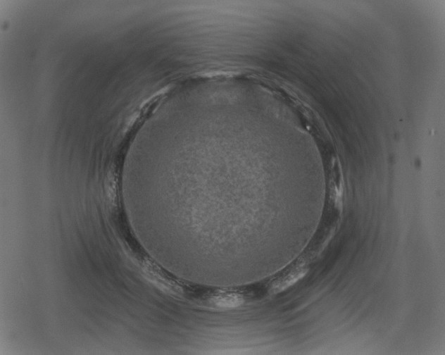 X0000078290604200611101110