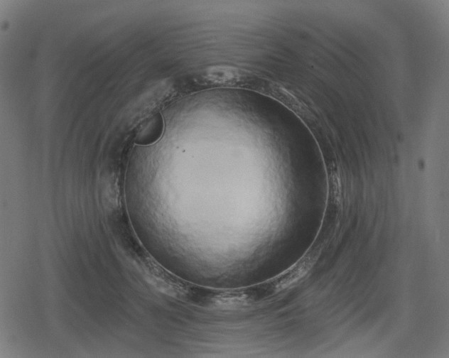 X0000078290606200611101110