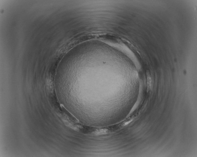 X0000078290609200611101110