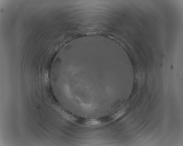 X0000078290610200611101110