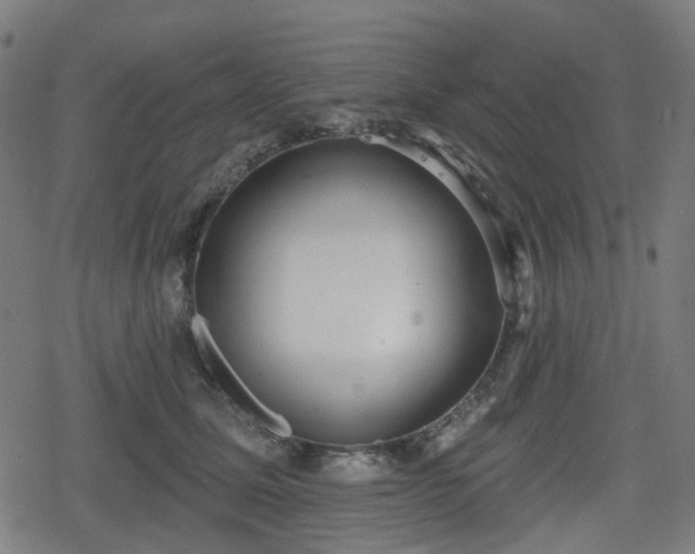 X0000078290611200611101110