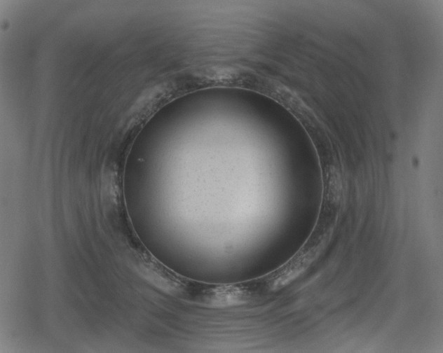 X0000078290612200611101110