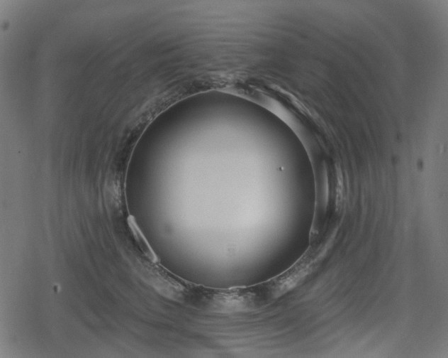 X0000078290613200611101110