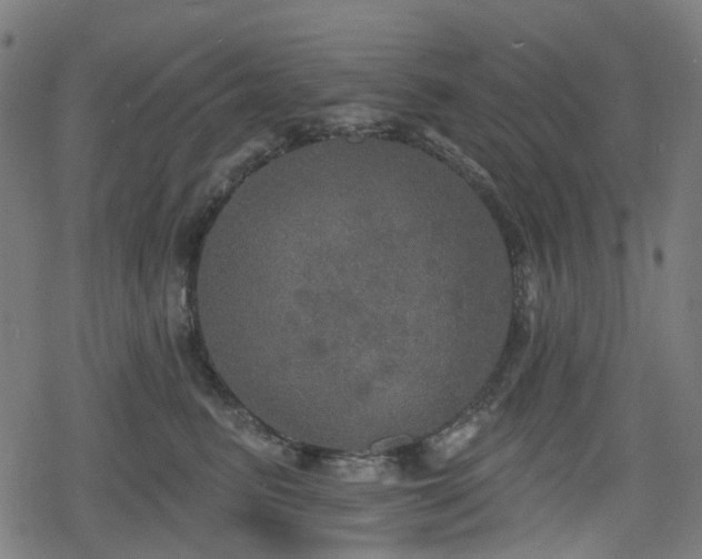 X0000078290615200611101110