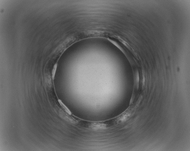 X0000078290617200611101110