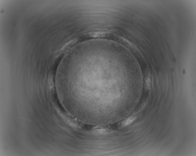 X0000078290620200611101110