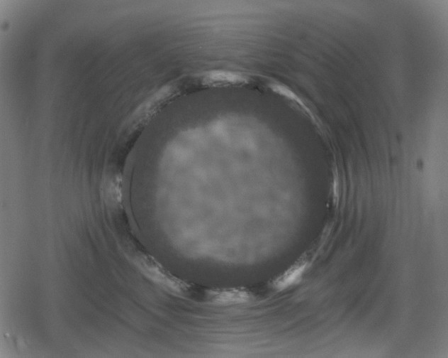 X0000078290621200611101110