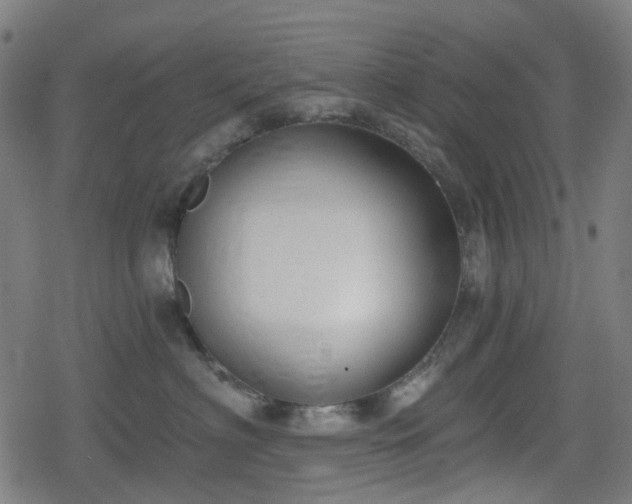 X0000078290622200611101110