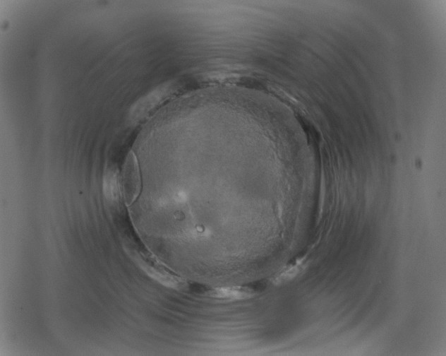 X0000078290623200611101110