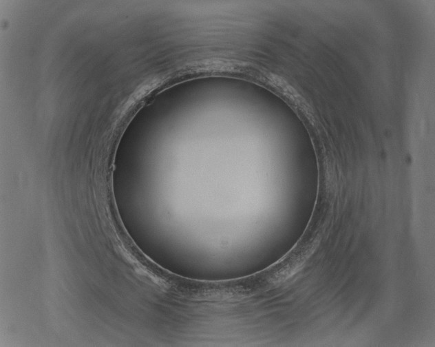 X0000078290625200611101109