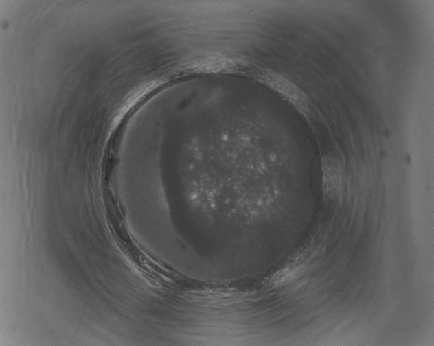 X0000078290626200611101109