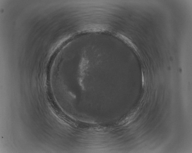 X0000078290627200611101109