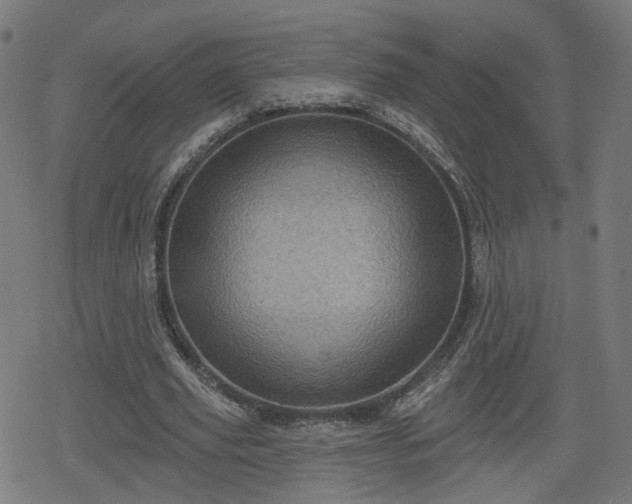 X0000078290629200611101109