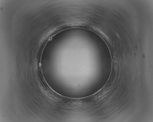 X0000078290631200611101109