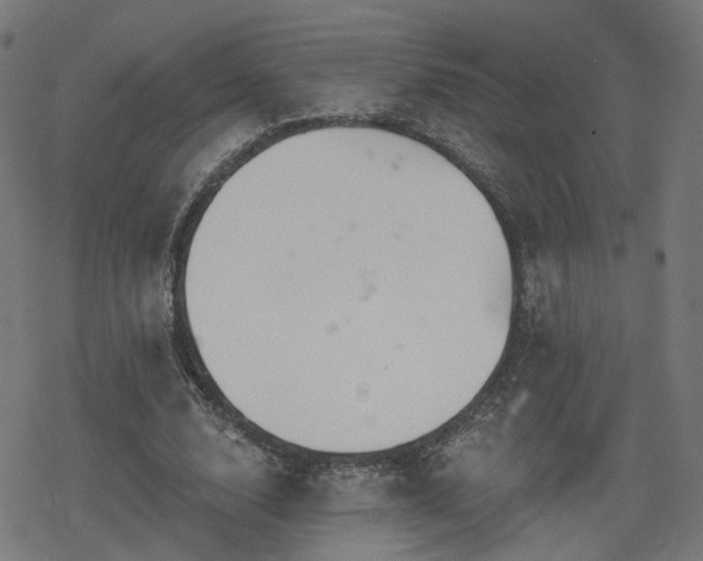 X0000078290632200611101109