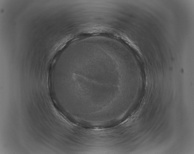 X0000078290637200611101109