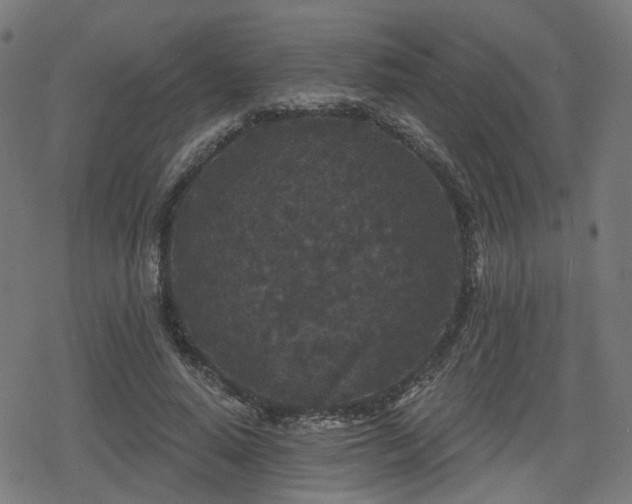 X0000078290640200611101109