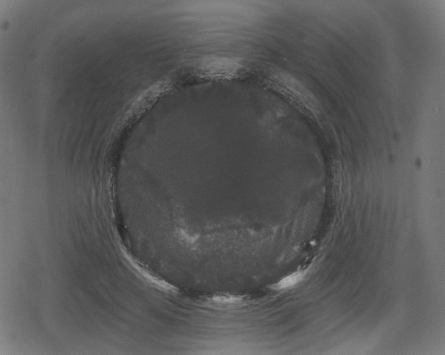 X0000078290641200611101109