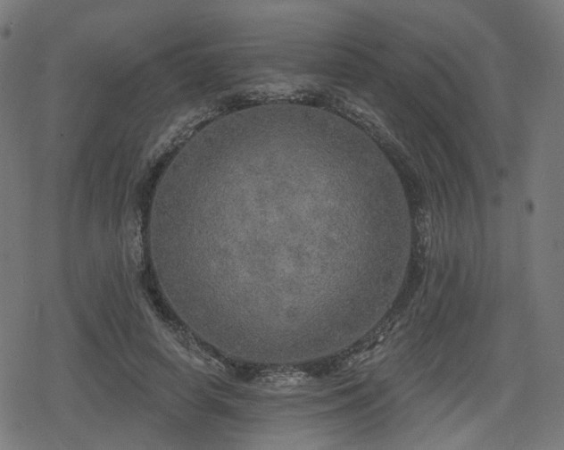 X0000078290642200611101109