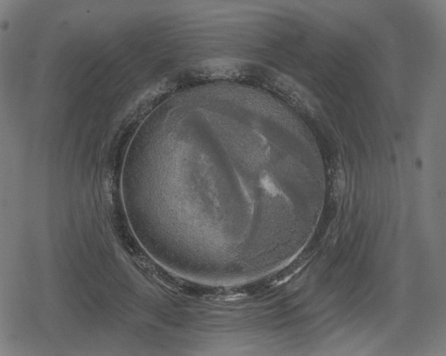 X0000078290643200611101109