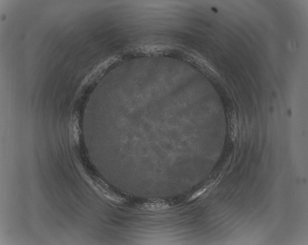 X0000078290644200611101109