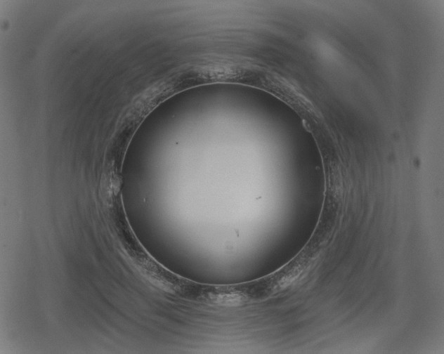 X0000078290645200611101109