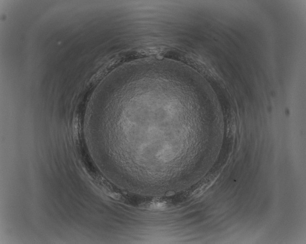 X0000078290647200611101109