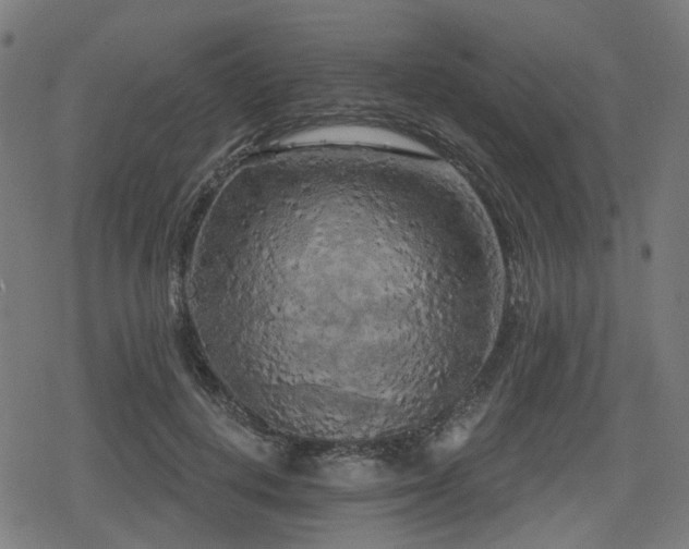 X0000078290648200611101109