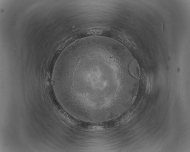 X0000078290649200611101109