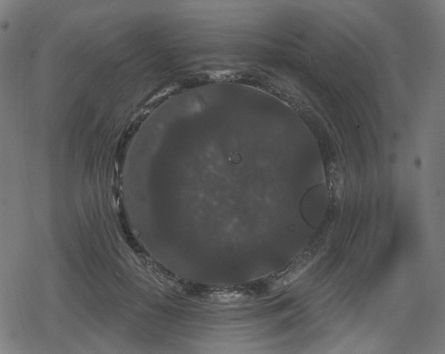 X0000078290650200611101109