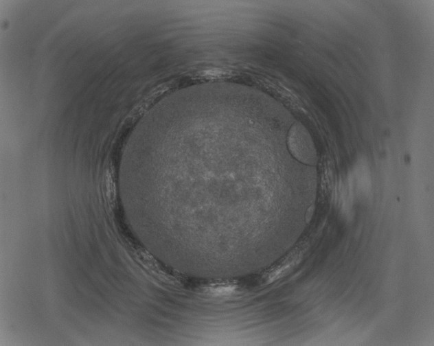 X0000078290651200611101109