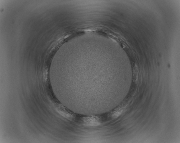 X0000078290652200611101109