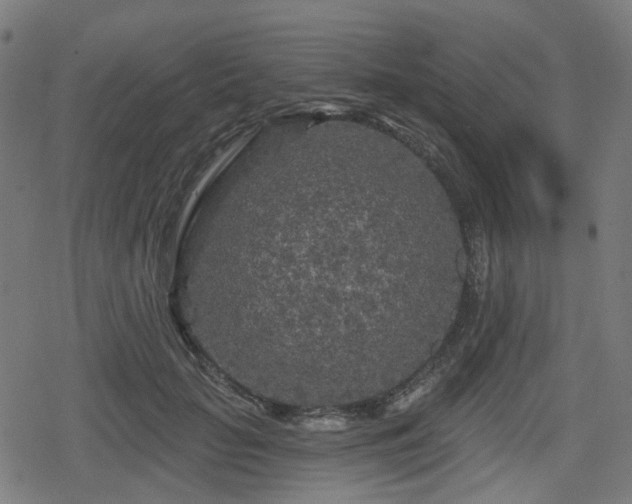 X0000078290653200611101109