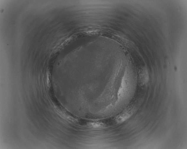 X0000078290654200611101109