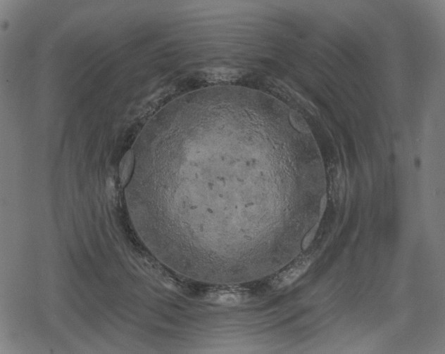 X0000078290655200611101109