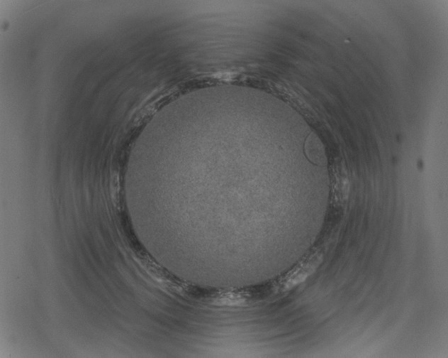 X0000078290656200611101109