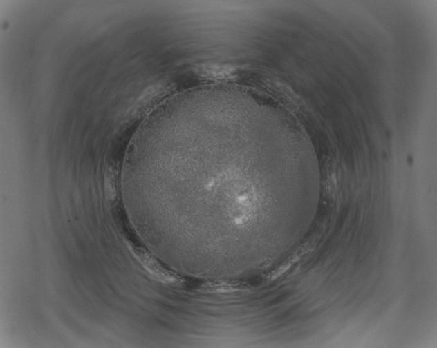 X0000078290658200611101109