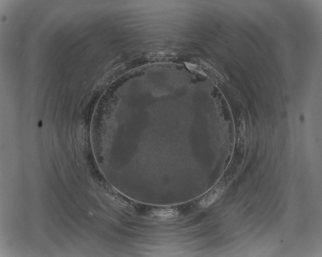 X0000078290659200611101109