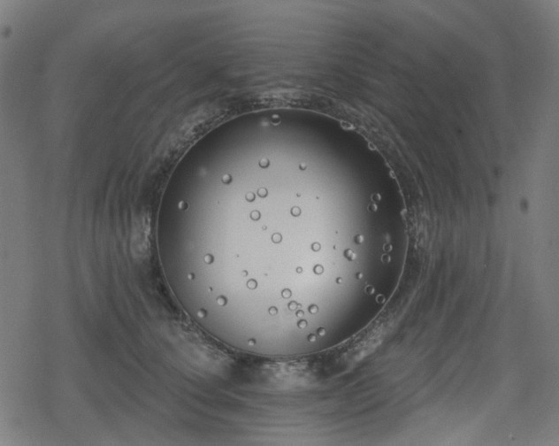 X0000078290660200611101109