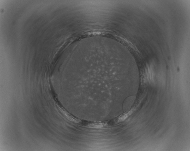 X0000078290661200611101110