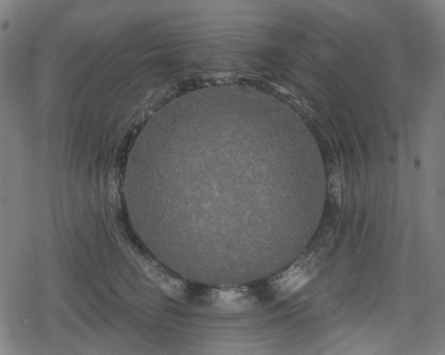 X0000078290662200611101110