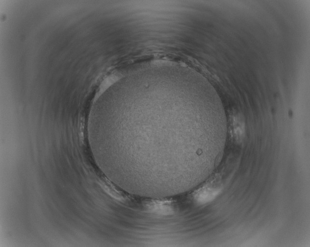 X0000078290664200611101110