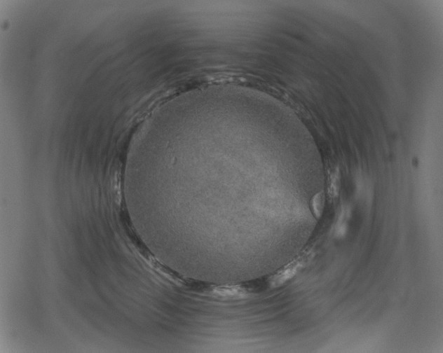 X0000078290666200611101110