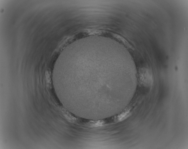 X0000078290667200611101110