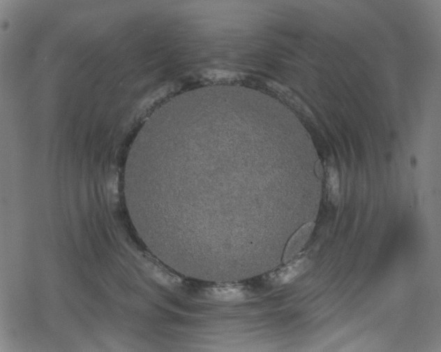 X0000078290668200611101110