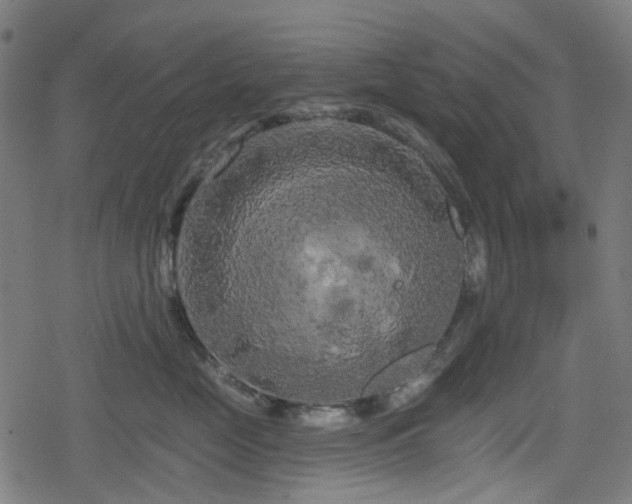 X0000078290669200611101110