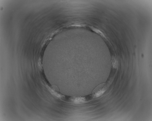 X0000078290670200611101110