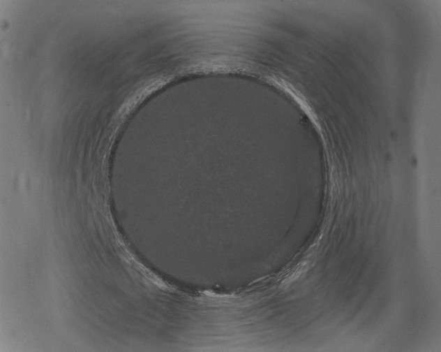 X0000078290673200611101109