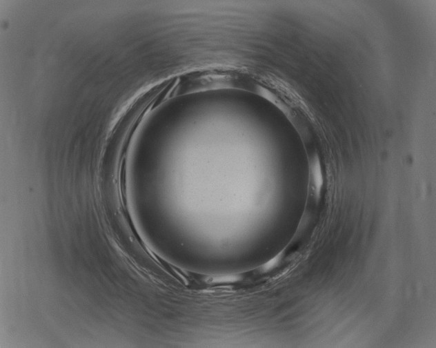 X0000078290676200611101109