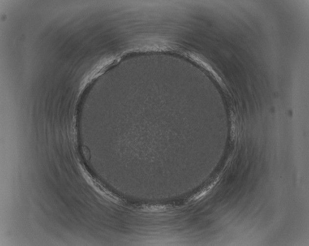 X0000078290677200611101109